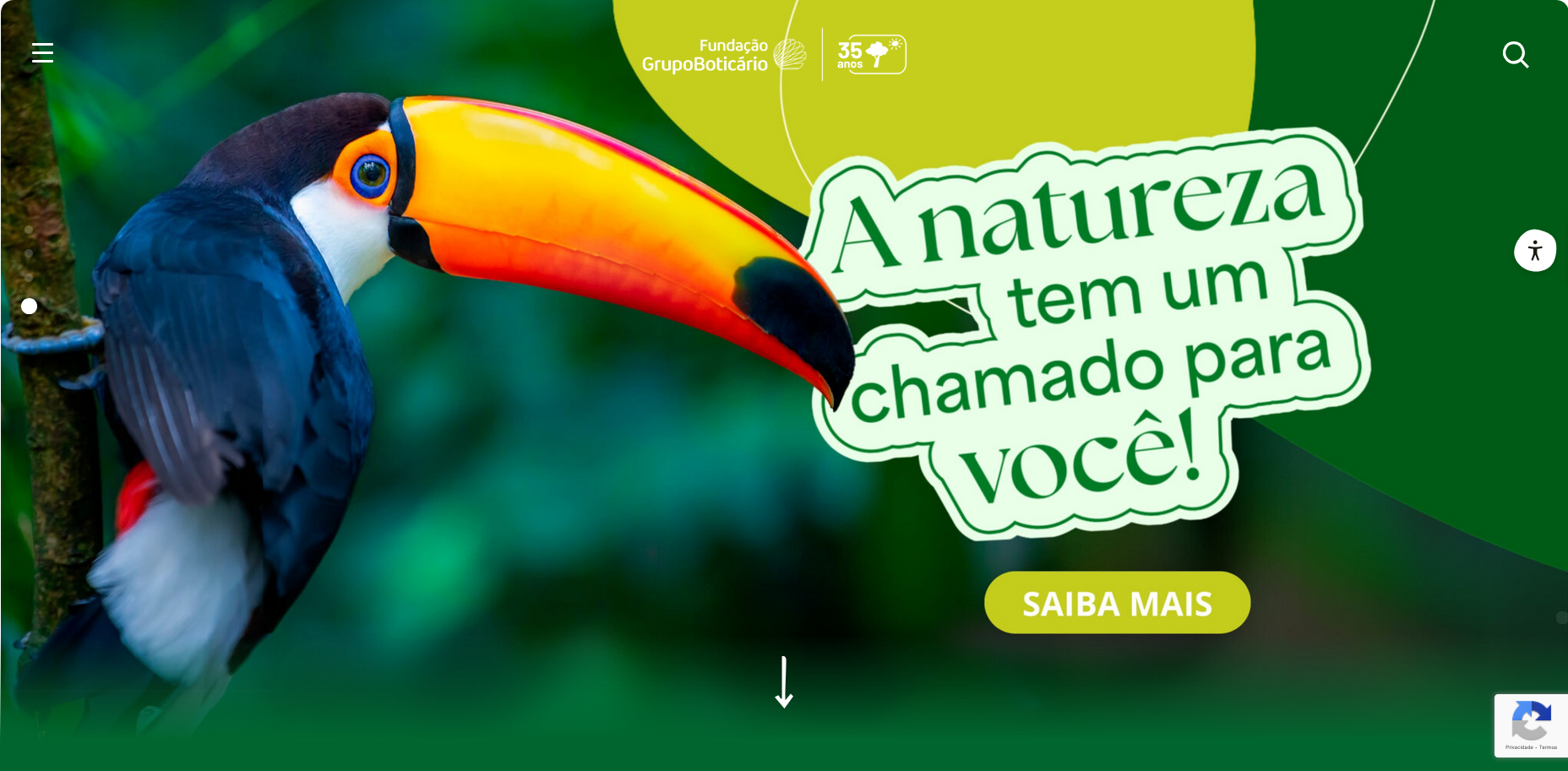 Thumbnail Fundação Grupo Boticário